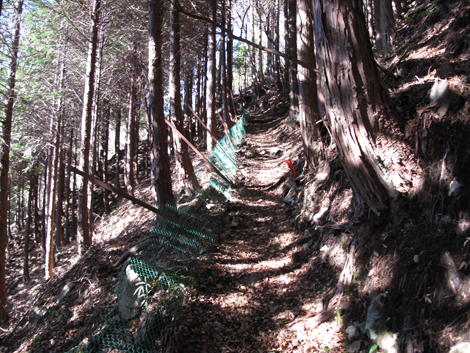 20161216hike (38)